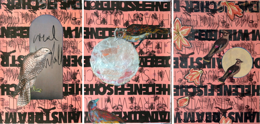 Collage aus drei abstrakten Tafeln mit Vögeln, Schriften und Texturen.