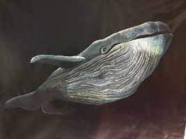 Gemälde eines Wals von der Seite, mit Falten am Bauch und einem Auge.