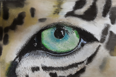 Nahaufnahme eines grünen Katzenauges mit dunklem Fellmuster.